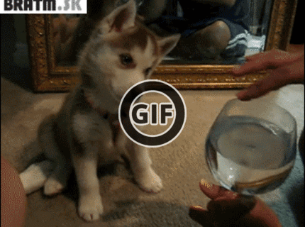 BRATM GIF: Podarenéééé ! :D