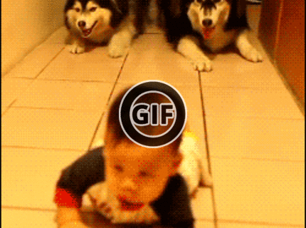 BRATM GIF: PODARENÉÉÉ ! :D tak toto musíš vidieť :)