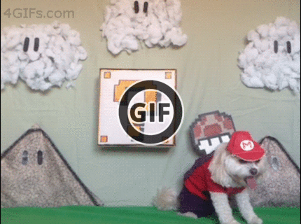 BRATM GIF: Podarené ! psí Máro :D