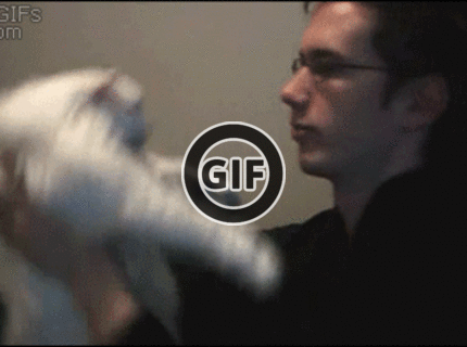 BRATM GIF: Krásne :) mačka si pýta objatie :)