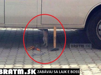 Typický automechanik na sídlisku :D