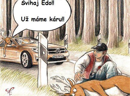 Už vieme, prečo sa tak často motá zver na cestách :D