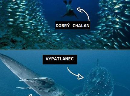 Akí muži priťahujú ženy :D