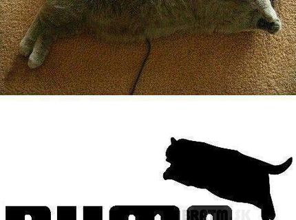Puma v dnešnej dobe :D