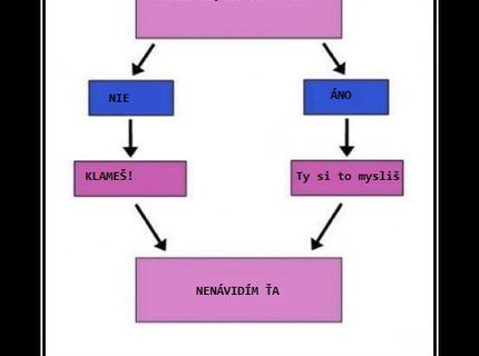 Takto funguje ženská logika! :D Chlapi, buďte opatrní!
