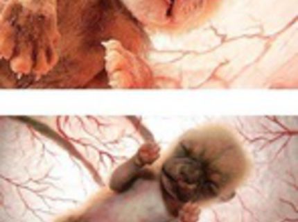 Úžasné! Toto stojí za pozretie :)