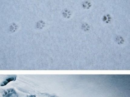 Neuveriteľná skutočnosť, čo za sebou zanecháva človek...