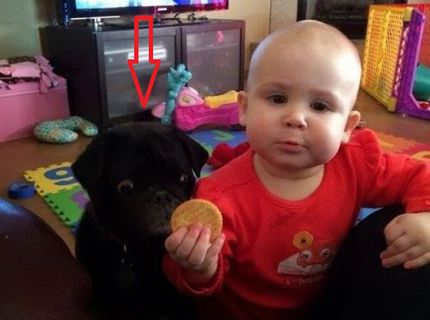 Úžasná dvojka :D ten pes nemá chybu :D