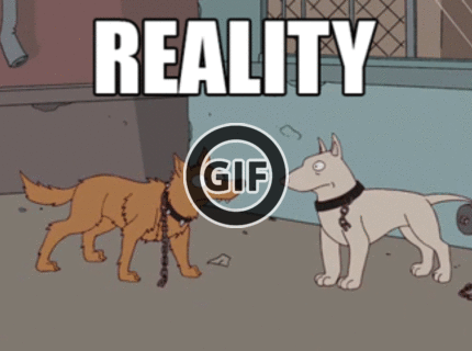 BRATM GIF: Riešenie problémov na internete :D aká je však realita?!