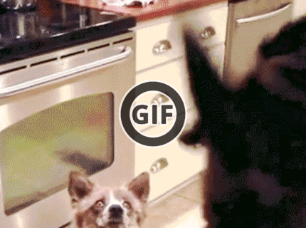 BRATM GIF: Podarená tímová práca :D