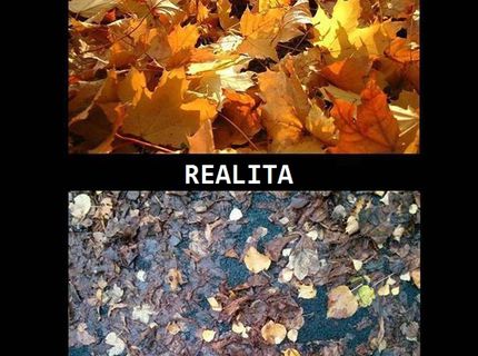 Predstava krásnej jesene, aká je však realita?! :D