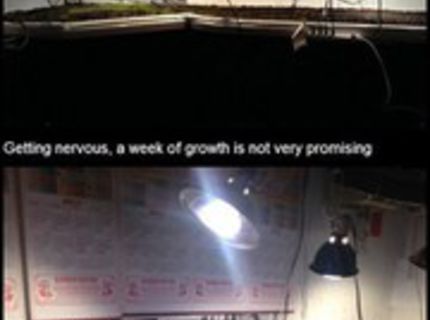 Krásny nápad, čo poviete? :D