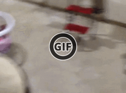 BRATM GIF: Kto je v tomto dome pán? :D