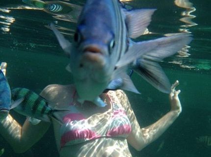 Najlepšia podvodná momentka všetkých čias :D