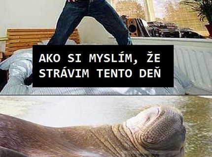 Môj plán na dnešný deň a aká je jeho realita :D :D :D