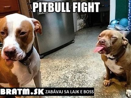 Podarené! a že, bojové plemená :D