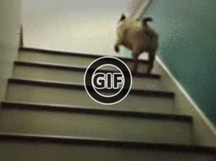 BRATM GIF: Najroztomilejšia chôdza po schodoch :D