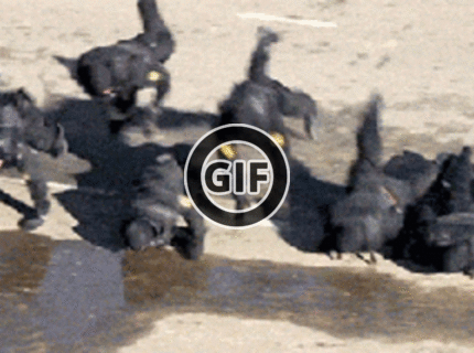 BRATM GIF: Tak toto nemá chybu :D