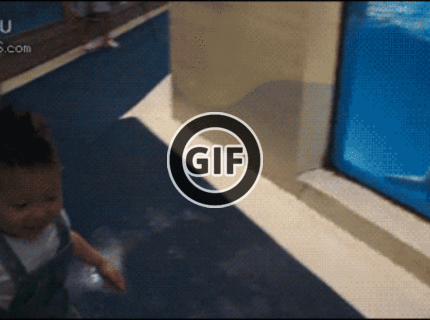 BRATM GIF: Aj zvieratá sa vedia zabávať :D