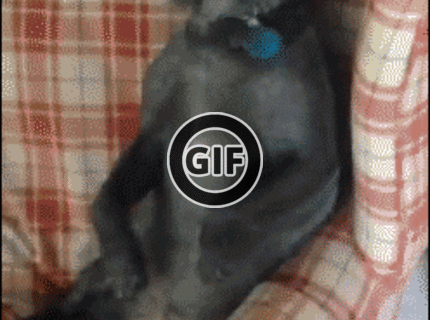 BRATM GIF: Tak tento výraz nemá chybu! :D