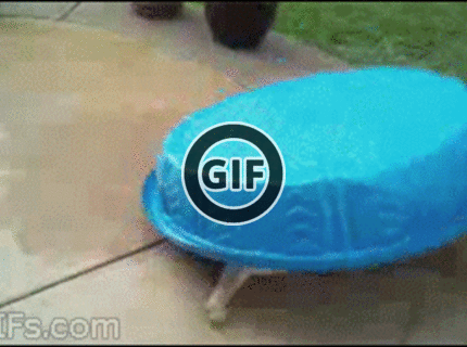 BRATM GIF: Rozkošné šteňa v akcii :D