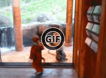 BRATM GIF: Skoro ako bratia :D