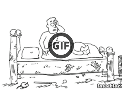 BRATM GIF: Aj mačky vedia byť zákerné, keď sú hladné :D