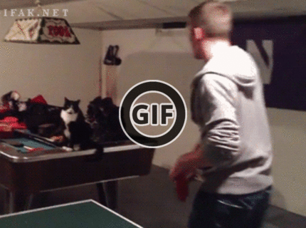 BRATM GIF: Daj si na to cica! :D