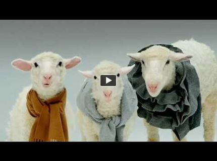 Vianočná koleda od jahniatok