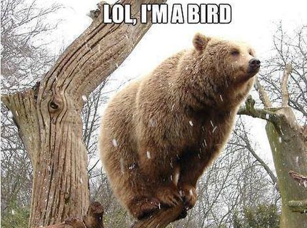 Aj vo svete zvierat sa nájdu rozdvojené osobnosti, tu je dôkaz! :D