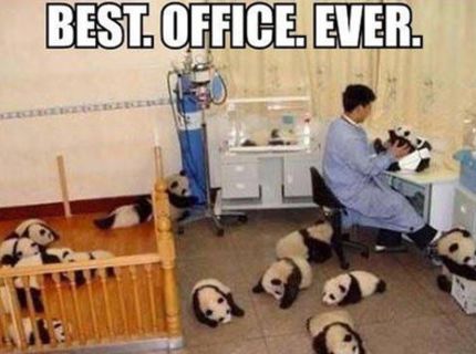 Tak toto je aké roztomilé pracovné prostredie, čo poviete? :D