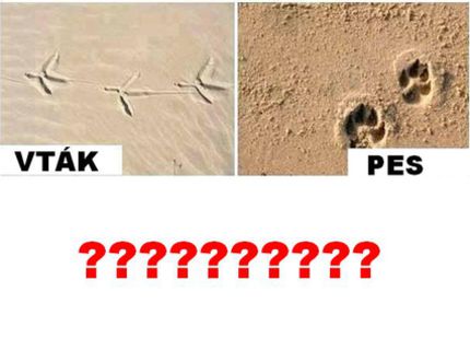 ŠOKUJÚCI POST, KTORÝ OBLETEL FB POČAS SVIATKOV- TO MUSÍŠ VIDIEŤ...