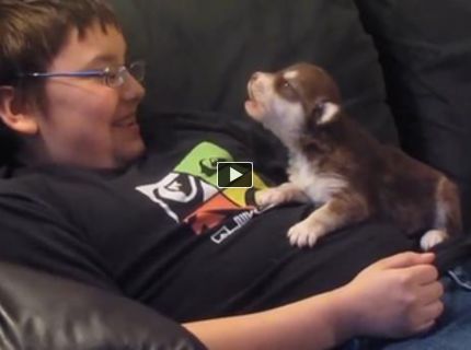 JÉÉÉJ SPIEVAJÚCE ŠTENIATKO JE HVIEZDOU FACEBOOKU:))