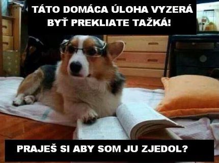 Vieme ako spraviť domácu úlohu počas vianoc za 2 minúty...čítaj ďalej :D:D