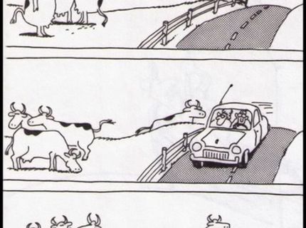 Viete čo robia kravy počas toho keď ich nevidia ľudia?:D