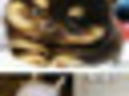 Láska k zvieratam nesmie byť zabudnutá ani počas vianoc!!! :D