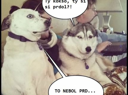 Ten výraz :D Toto pozná asi každý :D