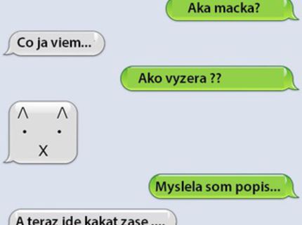Šialená SMS ka medzi dvoma blonďavými kamarátkami:D:D