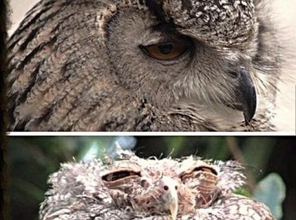 Ako vyzerám ,keď idem v piatok večer von a ako sa budím v sobotu ráno :D Je to naozaj takto? :D