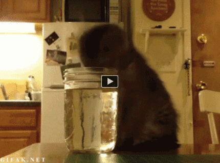 BRATM GIF: Čo sa to do pekla deje? :D