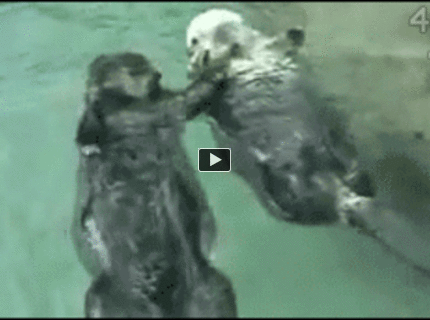 BRATM GIF: Rozkošný párik :)