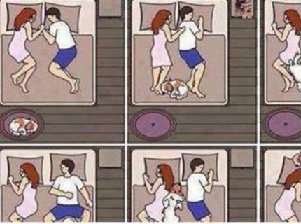 Chceš vidieť ako dopadneš keď budeš spávať so psom v posteli?:D