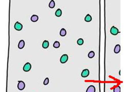 Pozrite si ten rozdiel! Vedomosti vs. naše skúsenosti :D