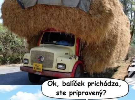 NAJLEPŠI KOMIX: VIDEL SI UŽ KRÁDEŽ STOROČIA?:D