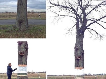 TOP foto dňa, ako sa rodia bohaté deti :D