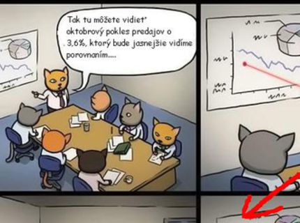 AKO TO VYZERÁ KEĎ MAJÚ MAČKY MEETING!:D:D