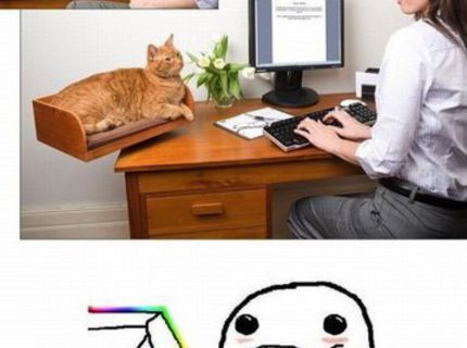 FASCINUJÚCI VYNÁLEZ PRE CHOVATEĽOV MAČIEK A MALÝCH PSOV:D:D:D