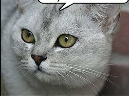 Leonardo Dicaprio a jeho mačacia chôdza :D