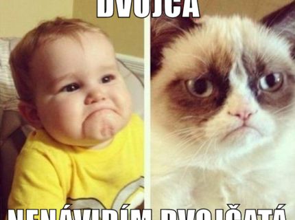 Vieš kto nenávidí dvojičatá?:D