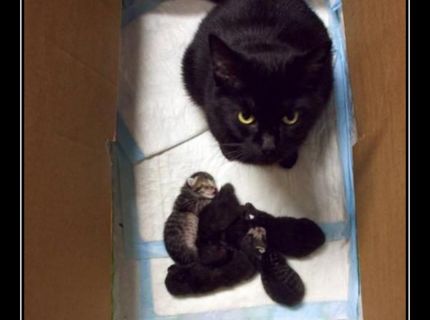 Pyšný otec a jeho ratolesti :D